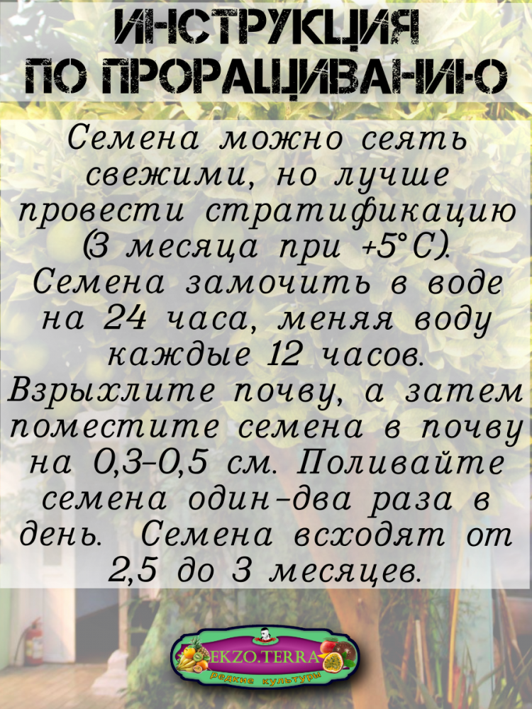 ������ ������ ������� ����������